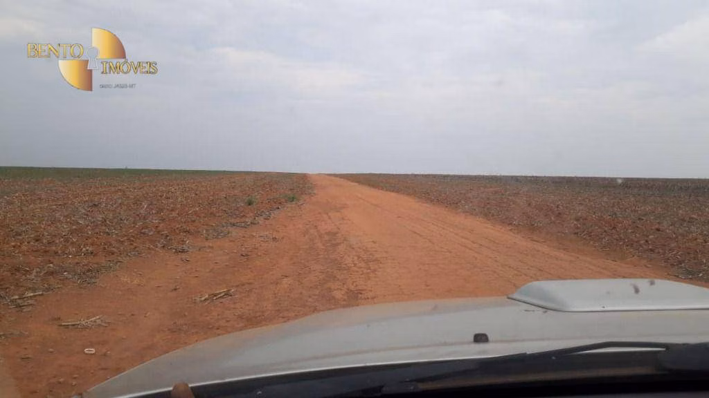 Fazenda de 2.500 ha em Nova Ubiratã, MT