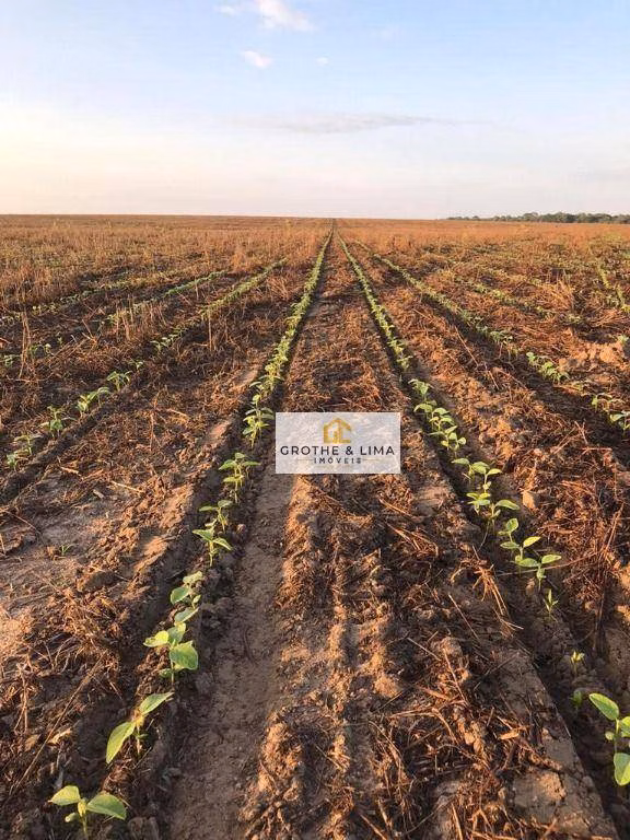 Fazenda de 4.808 ha em São Luís, MA