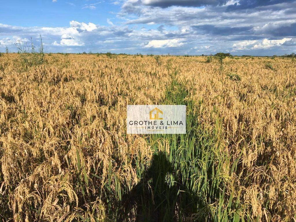 Fazenda de 4.808 ha em São Luís, MA