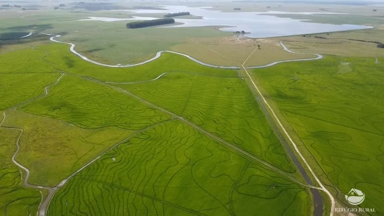 Fazenda de 5.661 ha em Jaguarão, RS