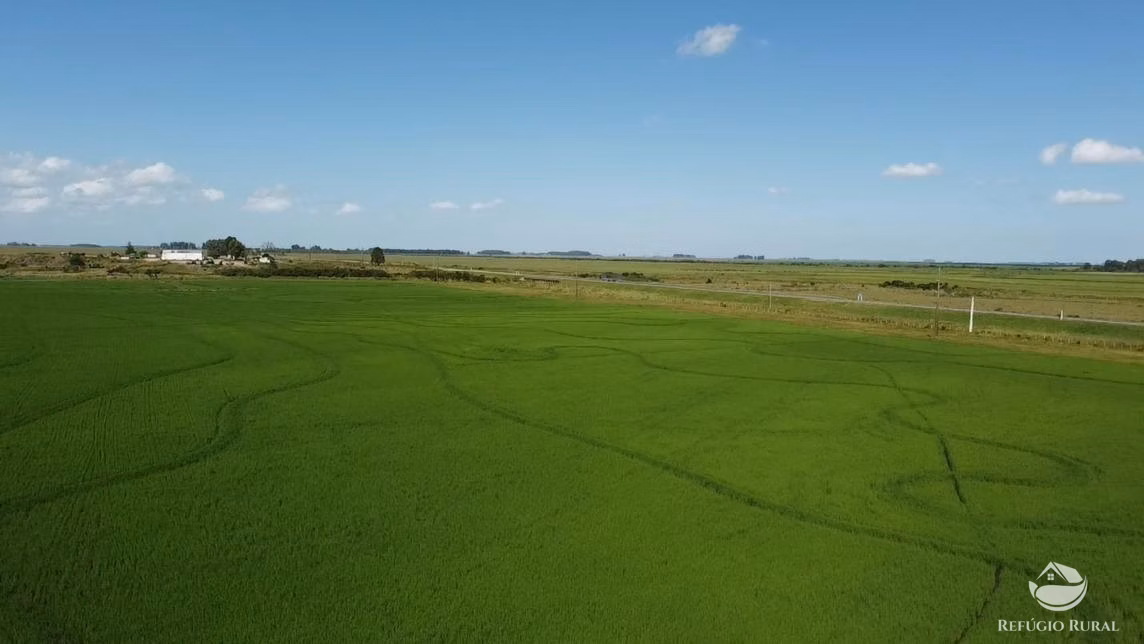 Fazenda de 5.661 ha em Jaguarão, RS