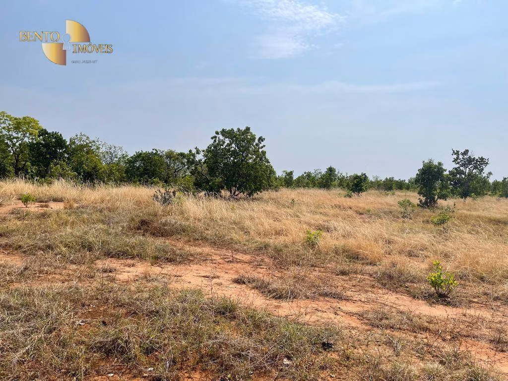 Fazenda de 300 ha em Campo Verde, MT
