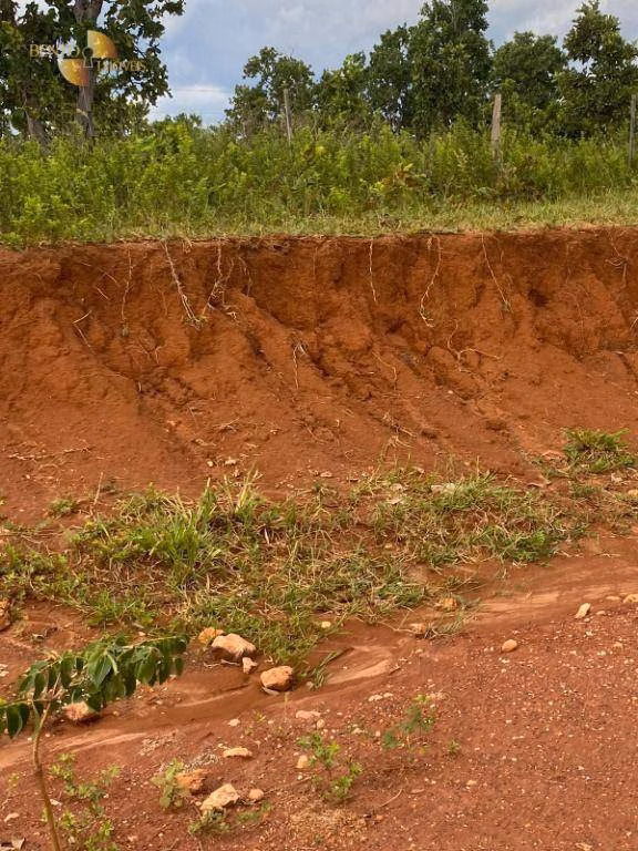 Fazenda de 300 ha em Campo Verde, MT