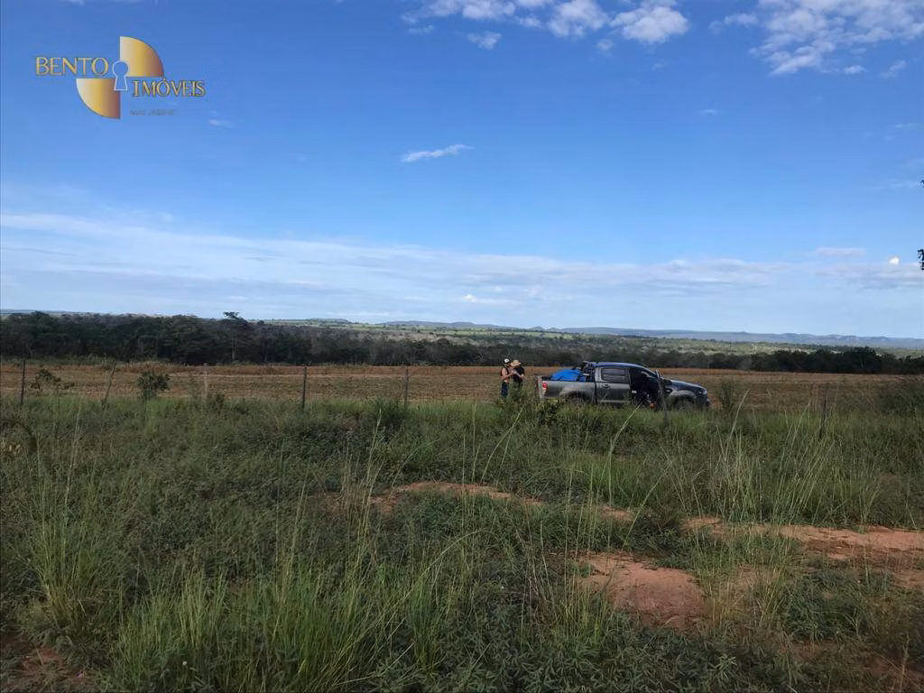 Fazenda de 300 ha em Campo Verde, MT