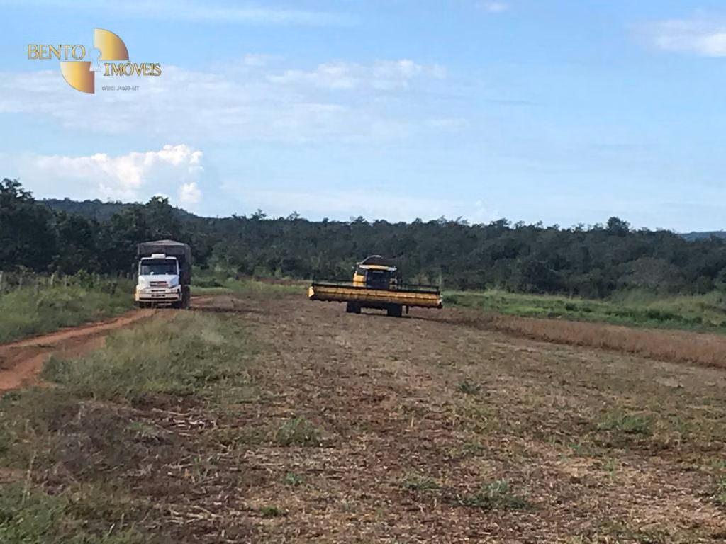 Fazenda de 300 ha em Campo Verde, MT