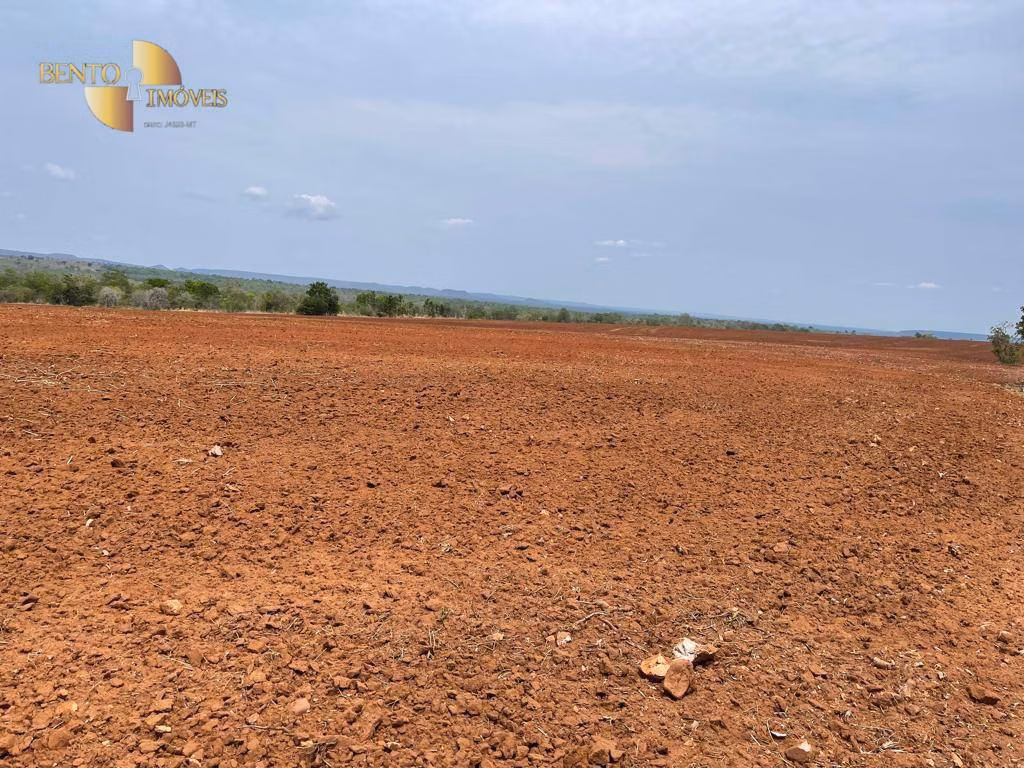 Fazenda de 300 ha em Campo Verde, MT