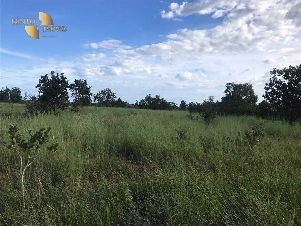 Fazenda de 300 ha em Campo Verde, MT
