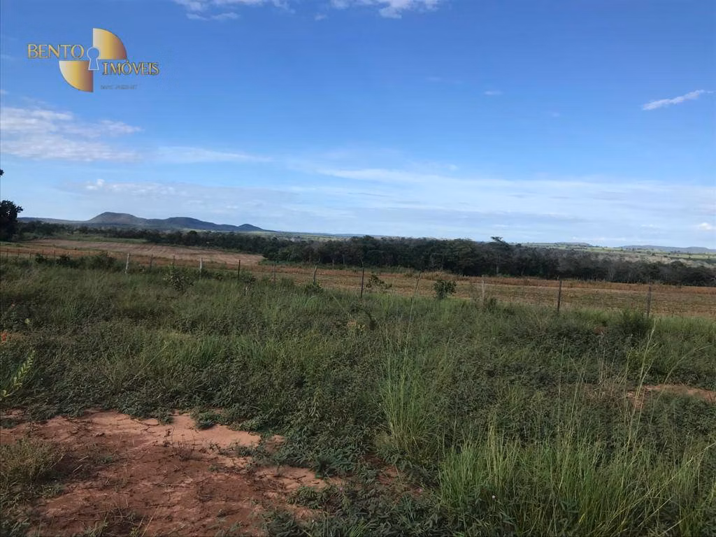 Fazenda de 300 ha em Campo Verde, MT