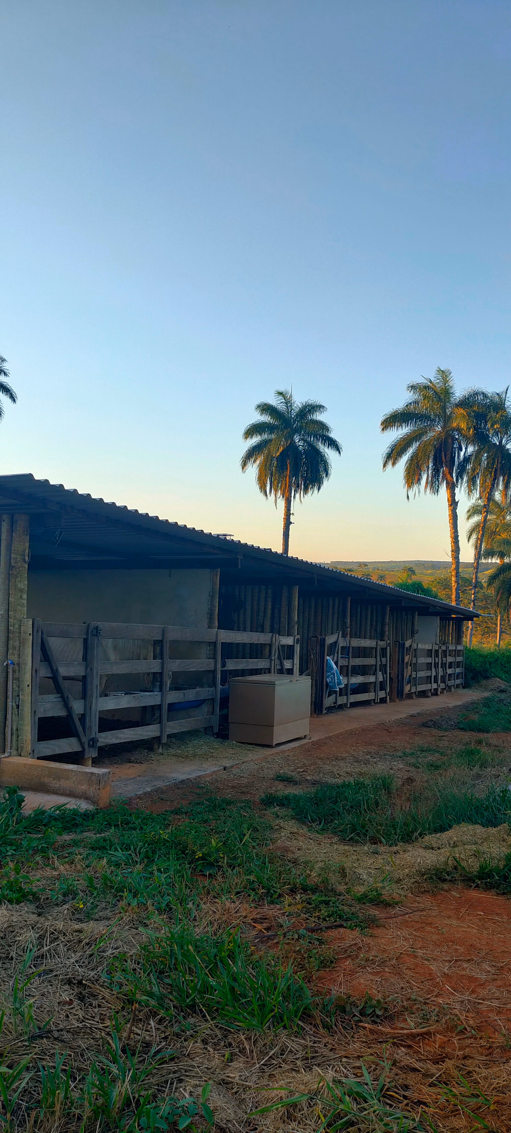 Small farm of 86 acres in Abaeté, MG, Brazil