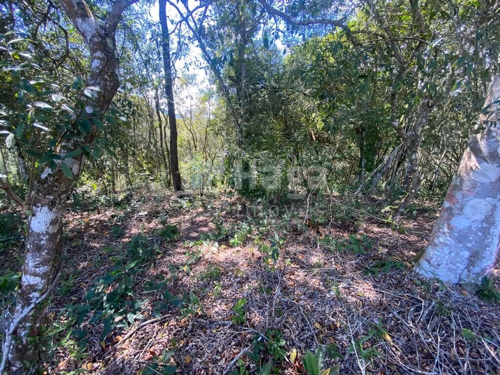 Country home of 5 acres in Canelinha, SC, Brazil