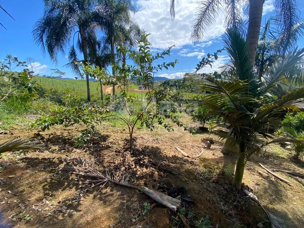 Country home of 5 acres in Canelinha, SC, Brazil