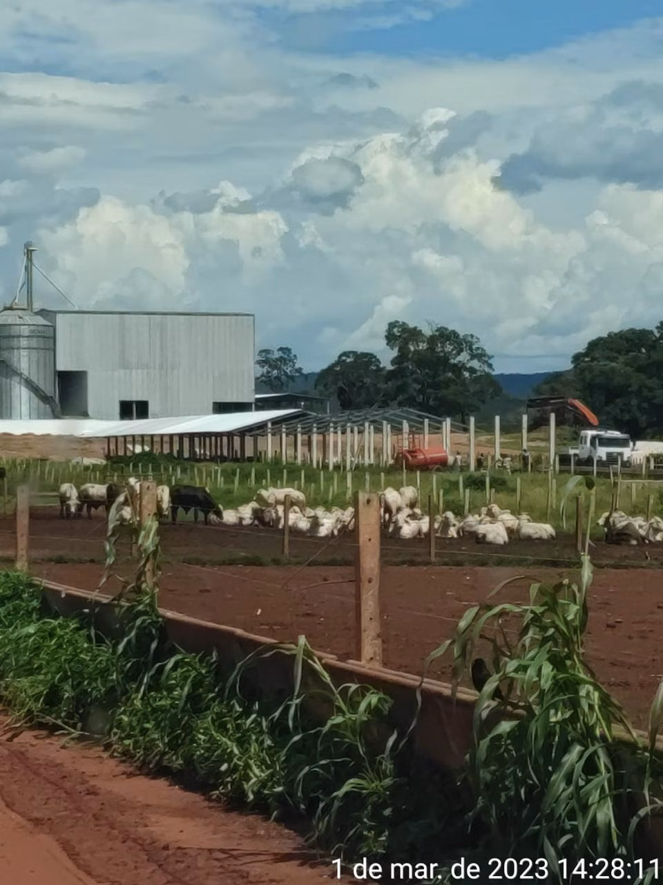 Fazenda de 1.498 ha em Pindorama do Tocantins, TO