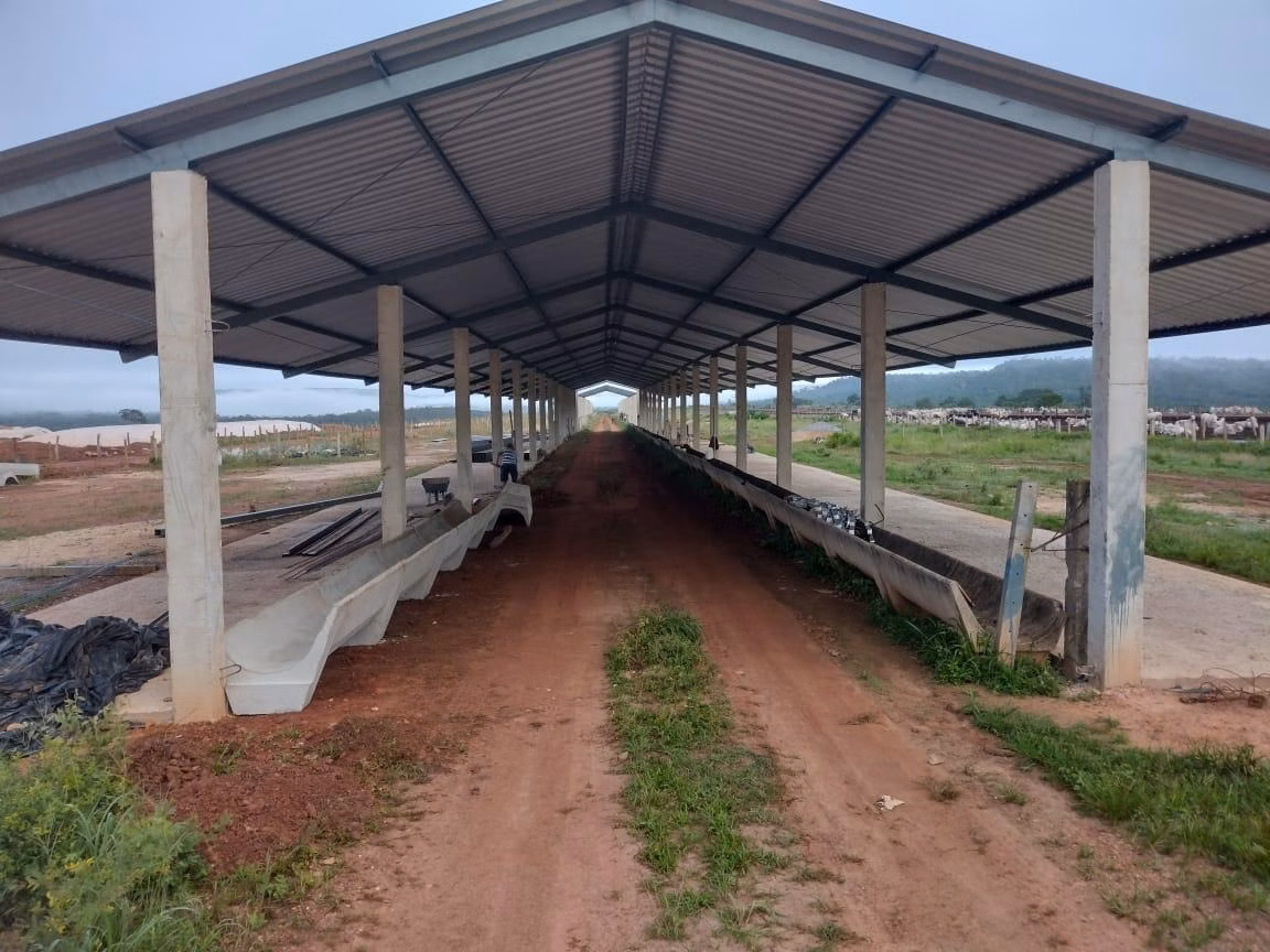 Fazenda de 1.498 ha em Pindorama do Tocantins, TO