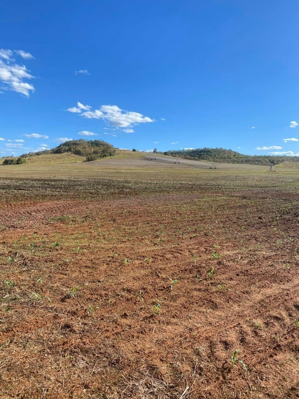 Fazenda de 1.498 ha em Pindorama do Tocantins, TO