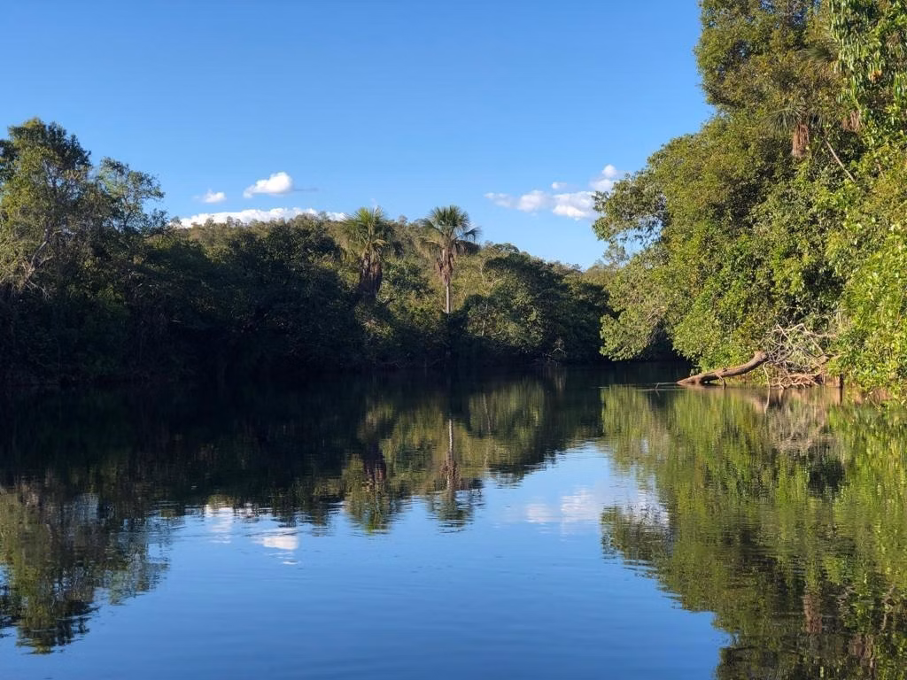 Fazenda de 1.498 ha em Pindorama do Tocantins, TO