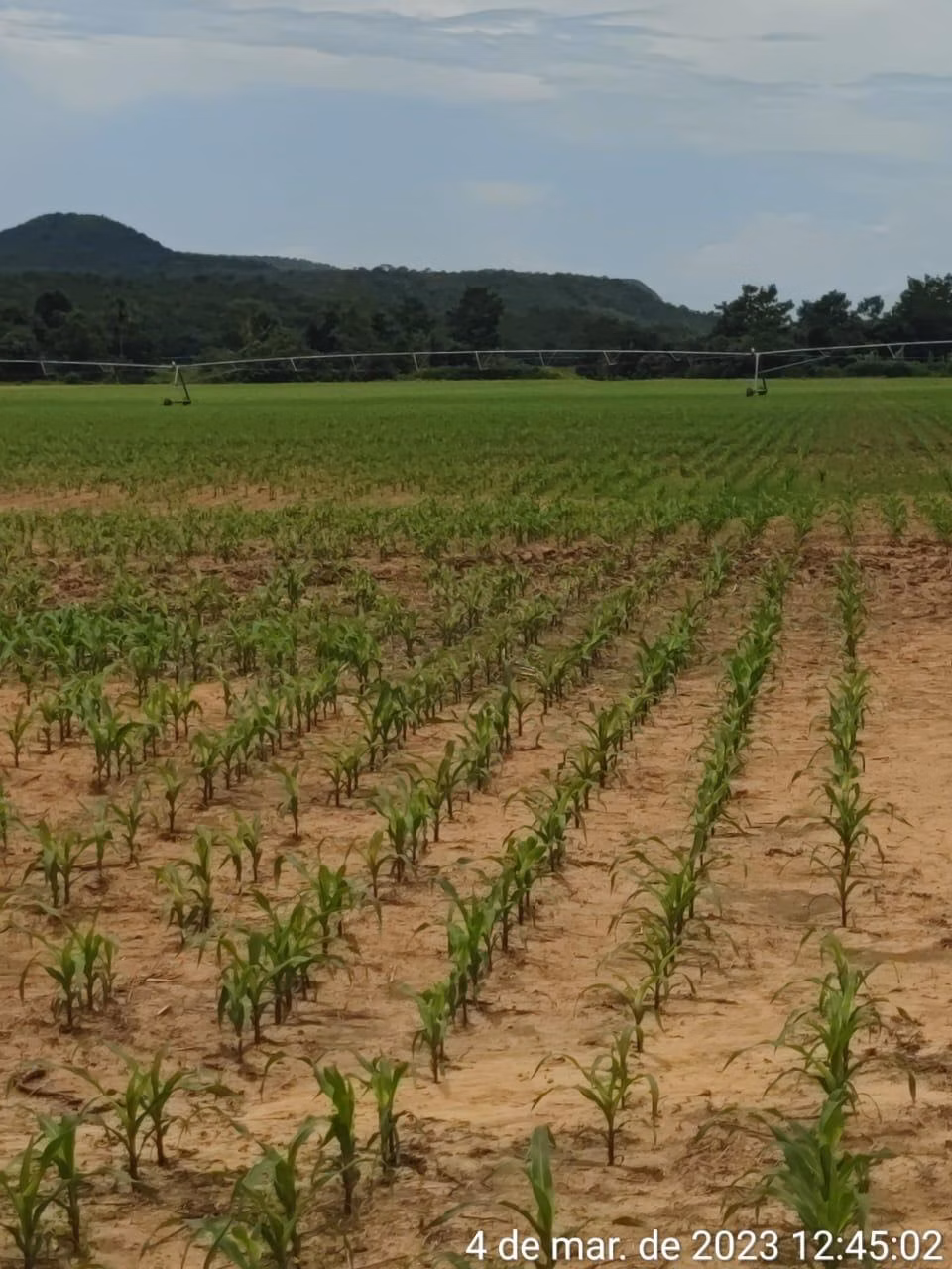 Fazenda de 1.498 ha em Pindorama do Tocantins, TO