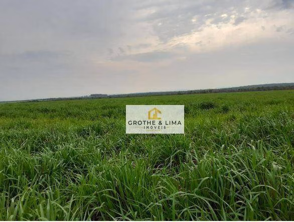 Fazenda de 450 ha em Araguaína, TO