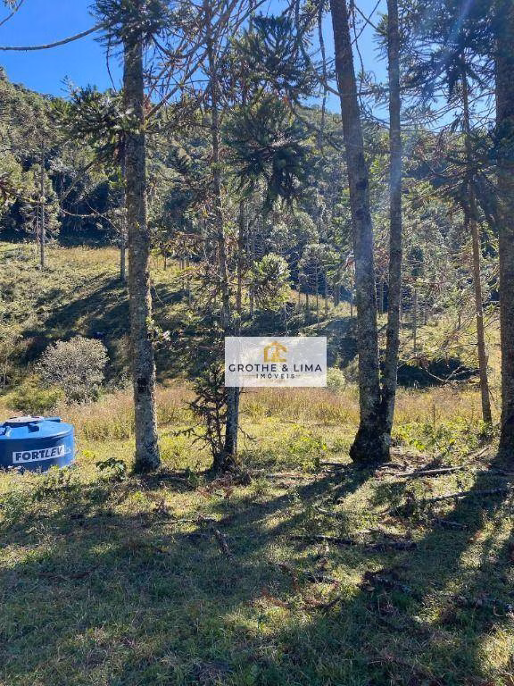Sítio de 5 ha em Gonçalves, MG