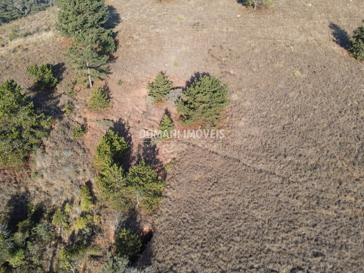 Terreno de 1.250 m² em Campos do Jordão, SP