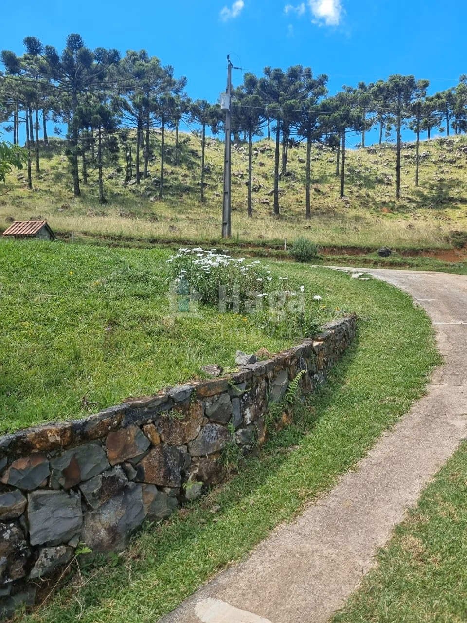 Fazenda de 5 ha em Bom Jardim da Serra, SC