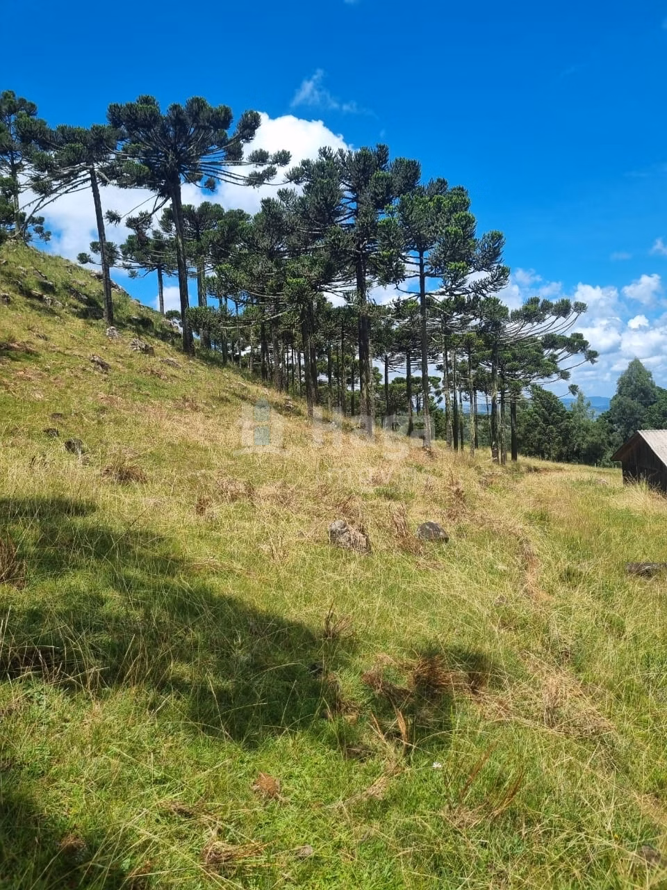Fazenda de 5 ha em Bom Jardim da Serra, SC
