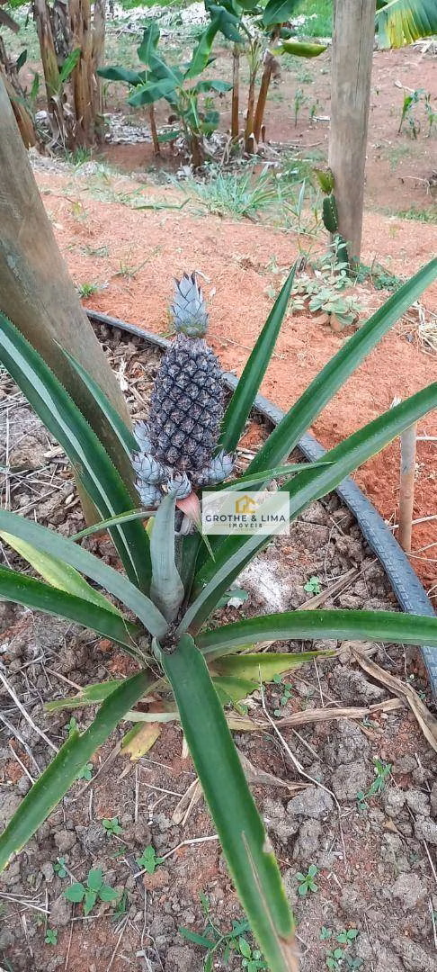 Sítio de 3 ha em Redenção da Serra, SP