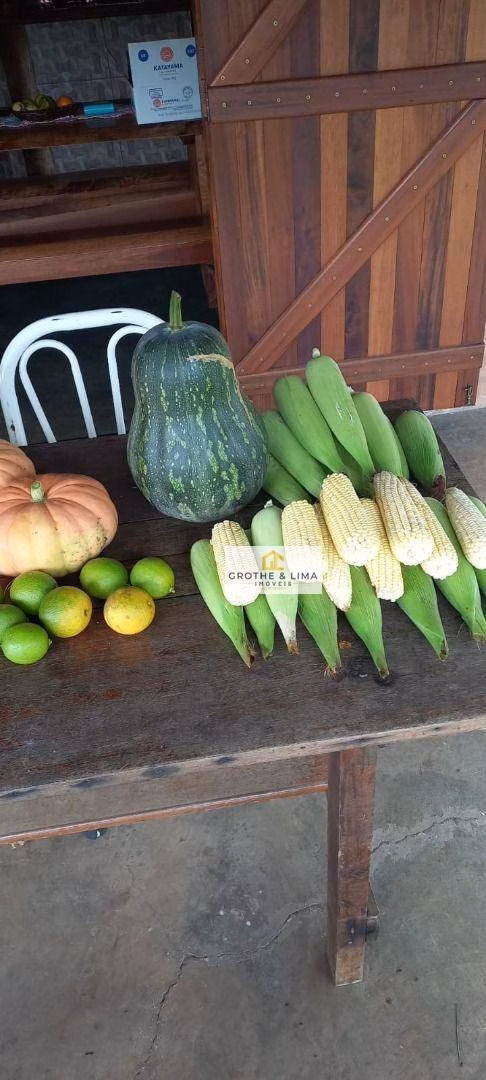 Sítio de 3 ha em Redenção da Serra, SP