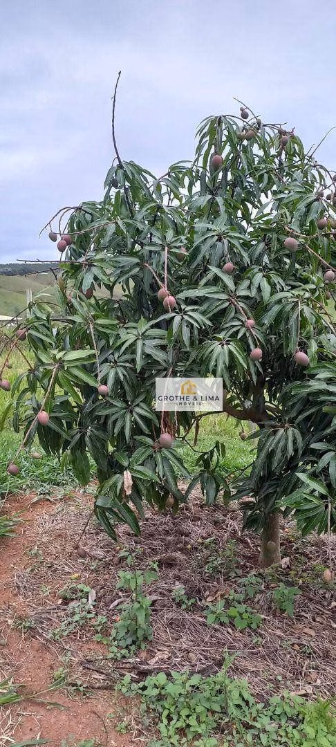 Sítio de 3 ha em Redenção da Serra, SP
