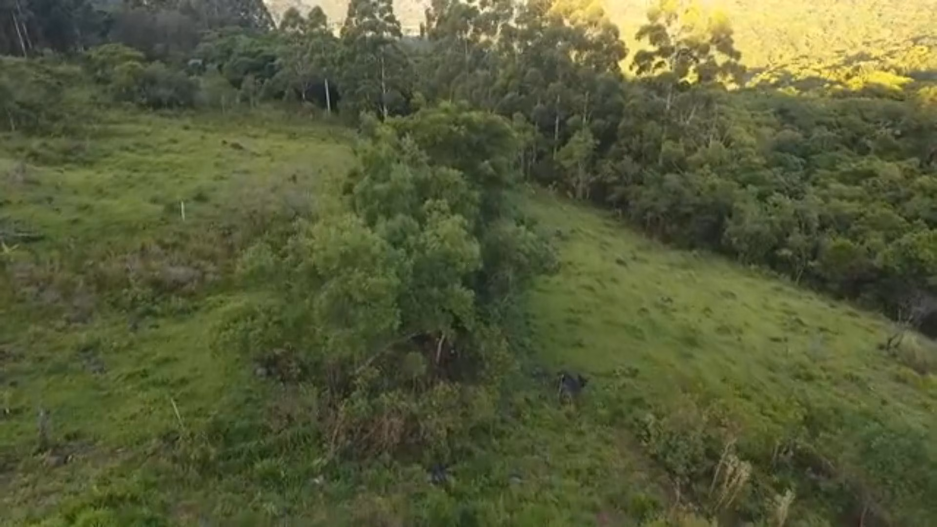 Chácara de 5 ha em Caraá, RS