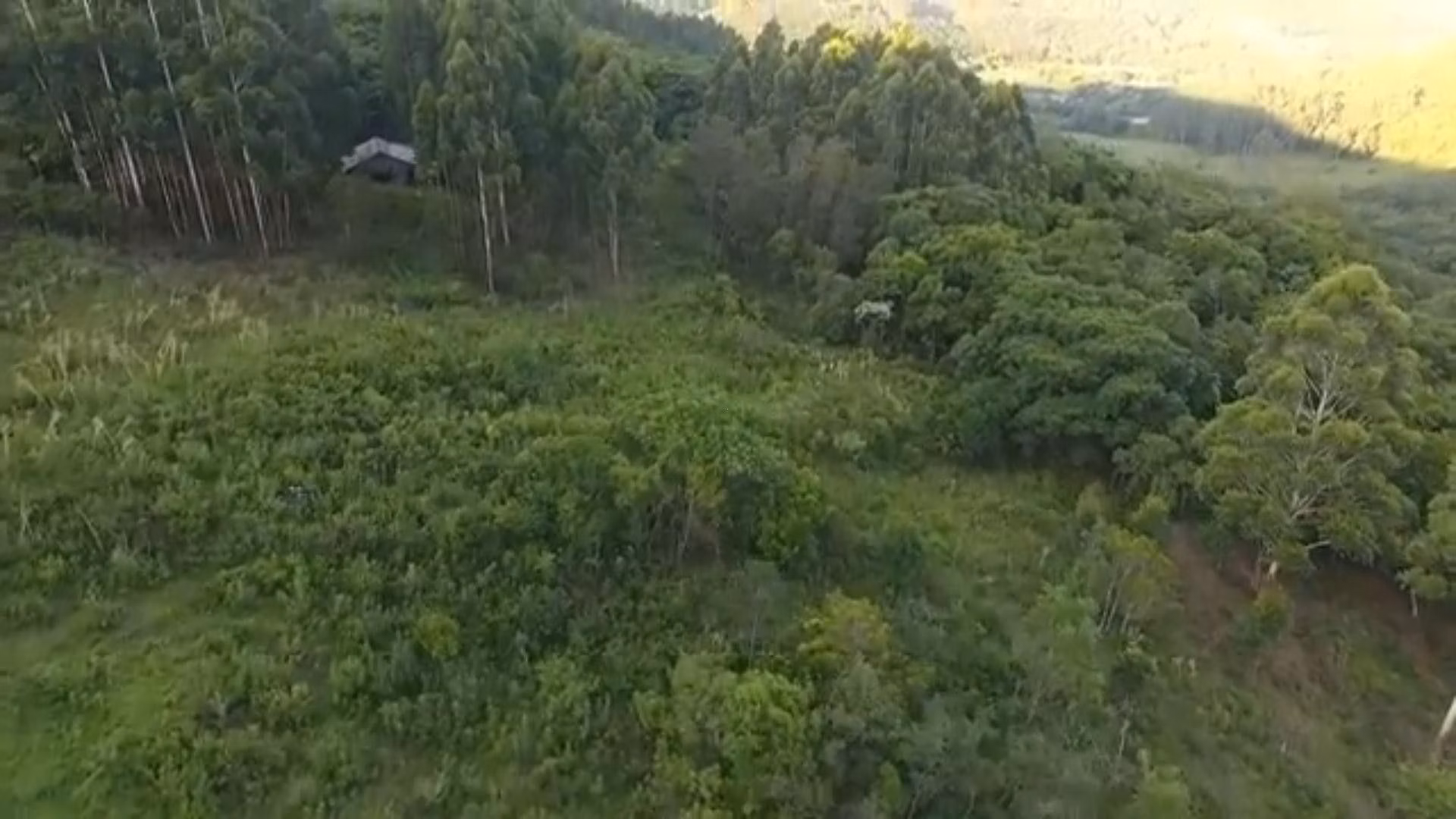 Chácara de 5 ha em Caraá, RS