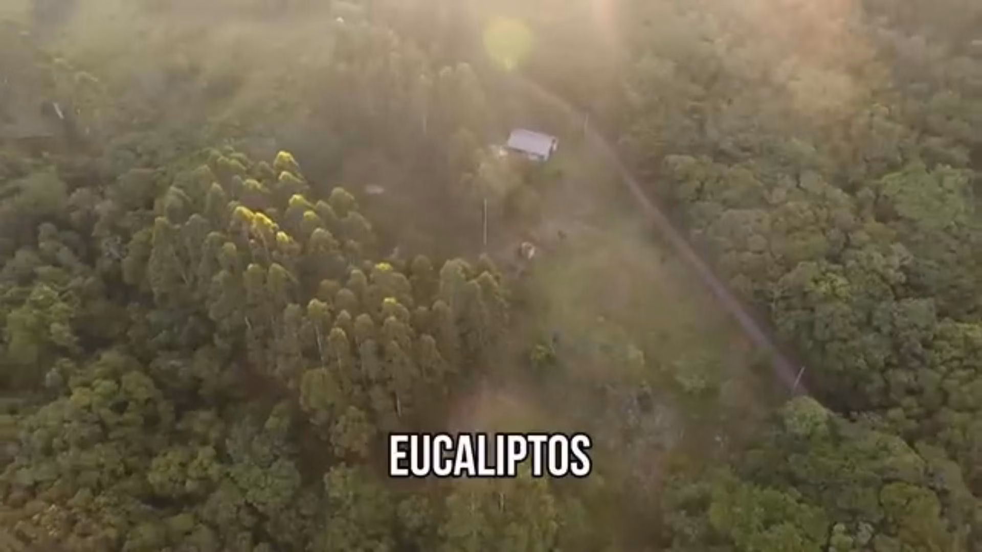Chácara de 5 ha em Caraá, RS