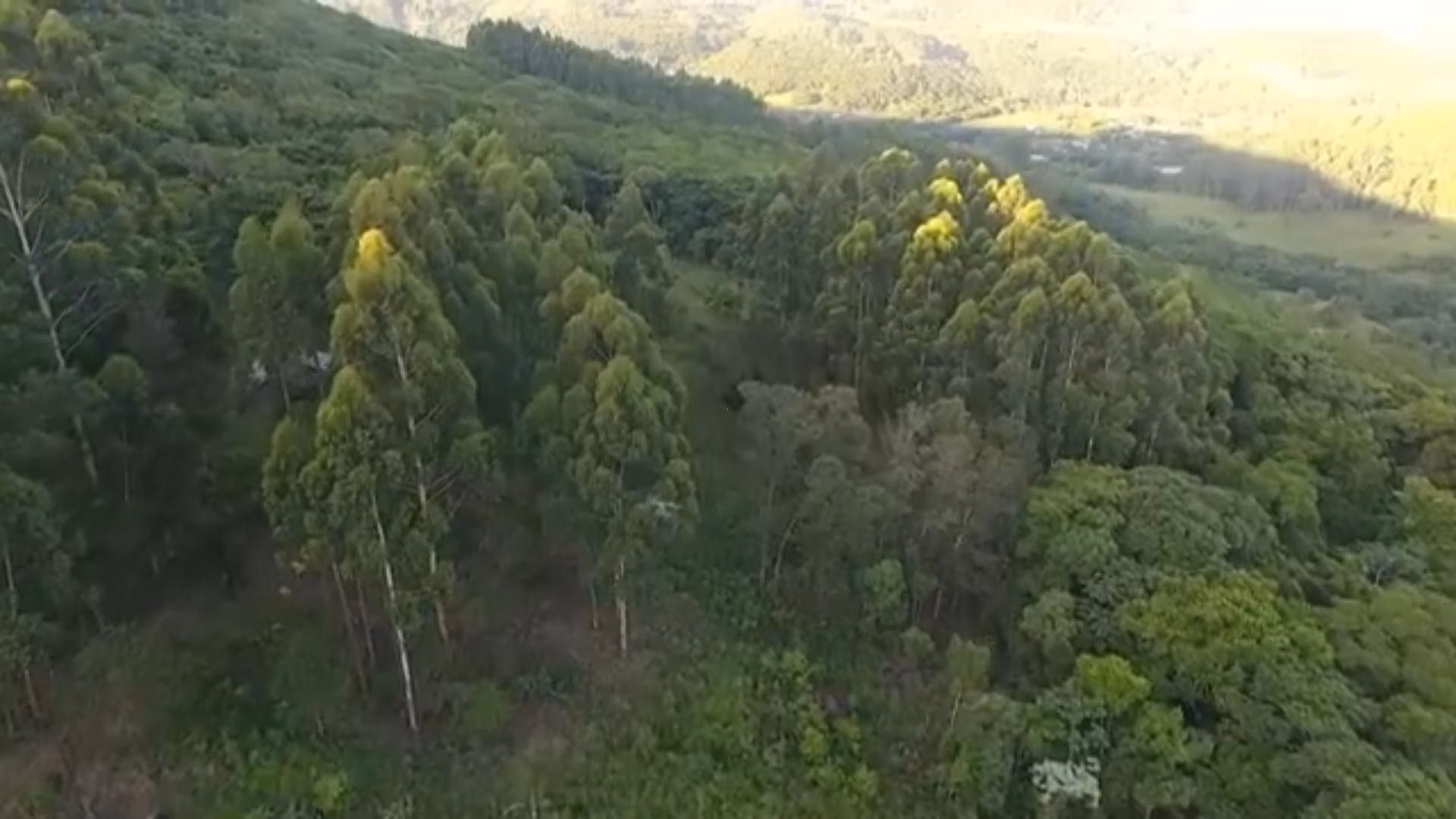 Chácara de 5 ha em Caraá, RS