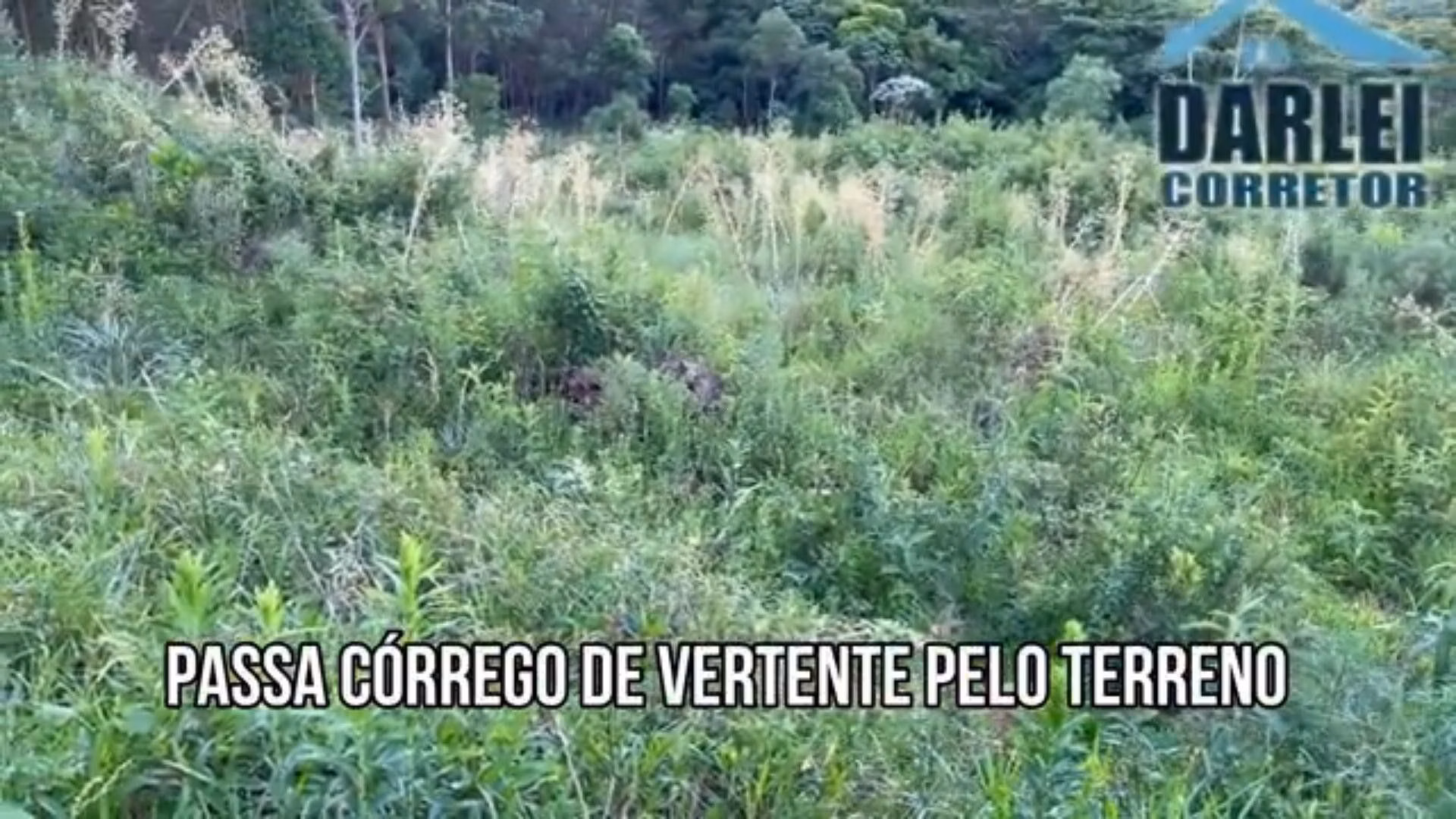 Chácara de 5 ha em Caraá, RS