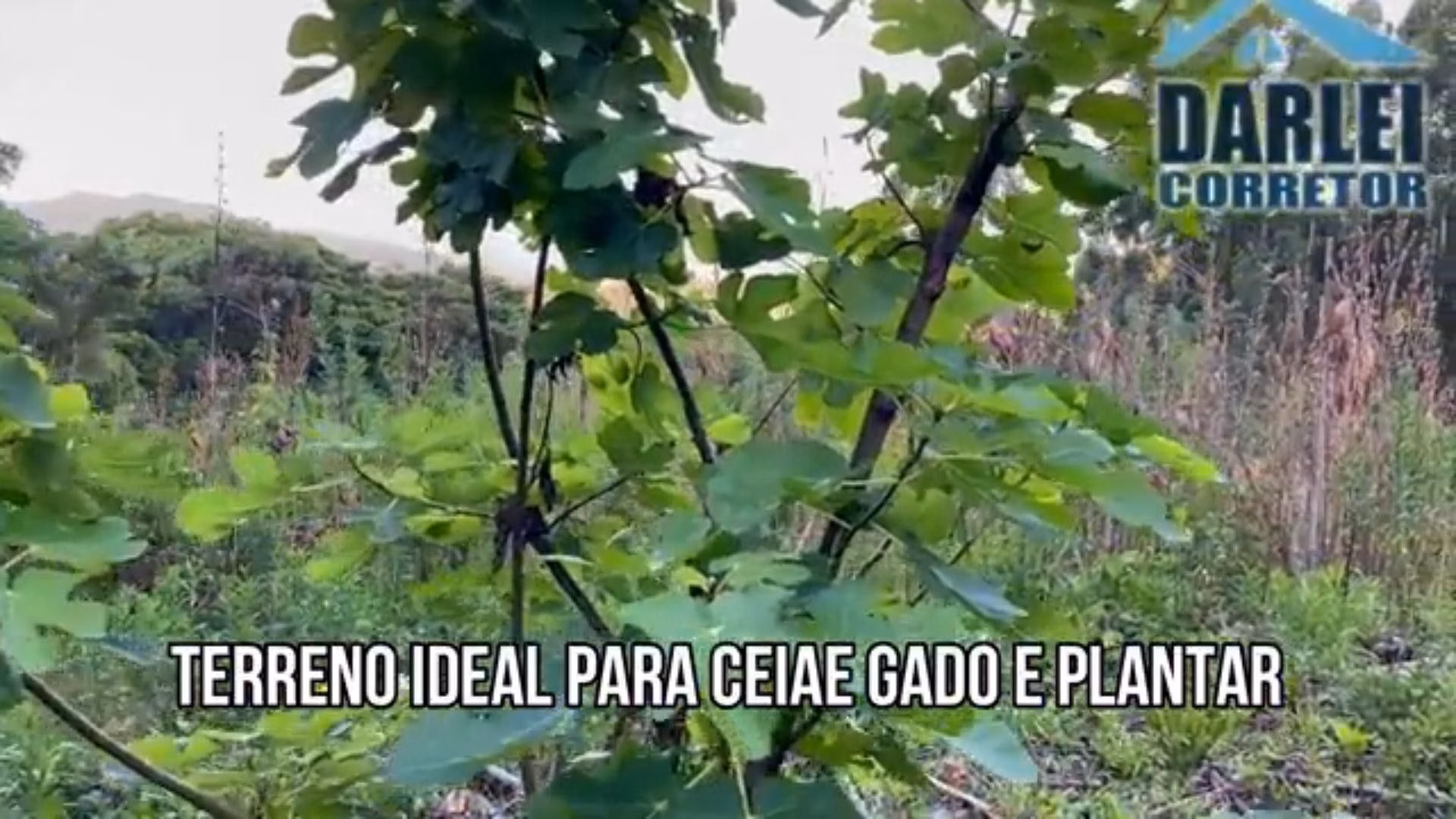 Chácara de 5 ha em Caraá, RS