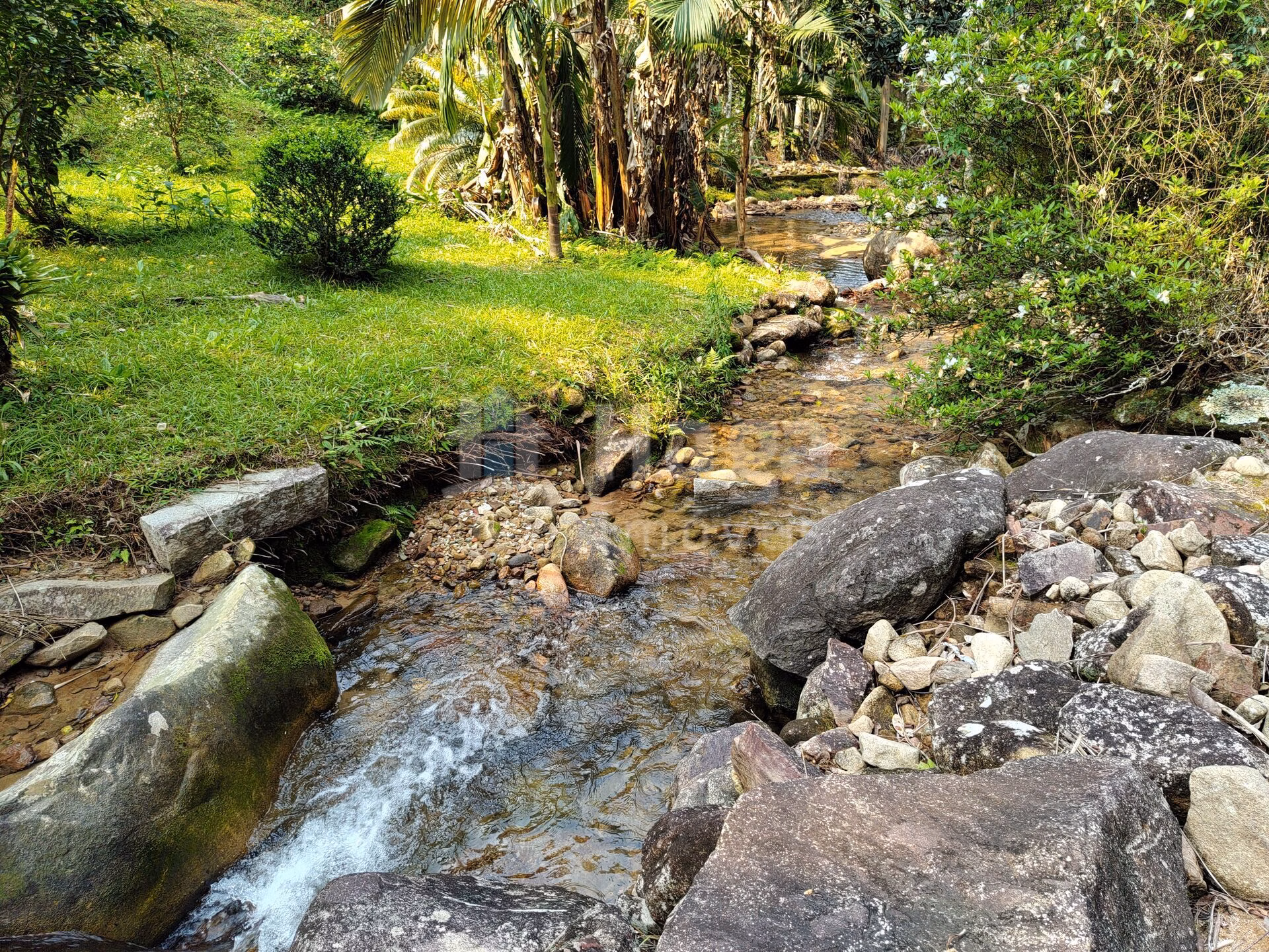 Farm of 2 acres in Guabiruba, SC, Brazil