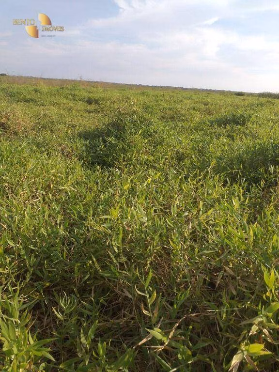 Fazenda de 1.363 ha em Poconé, MT