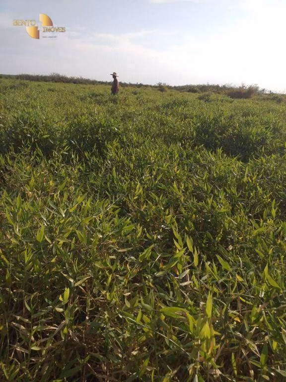 Fazenda de 1.363 ha em Poconé, MT