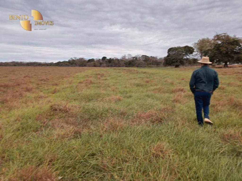 Farm of 3,368 acres in Poconé, MT, Brazil