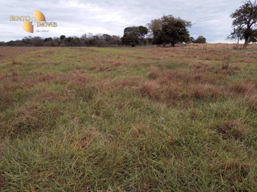 Farm of 3,368 acres in Poconé, MT, Brazil