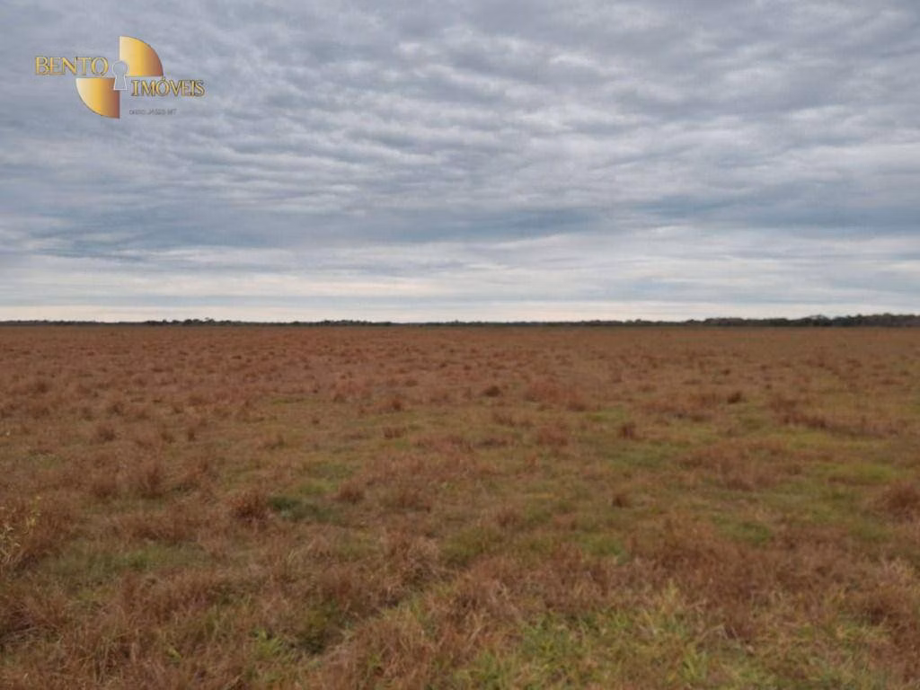Farm of 3,368 acres in Poconé, MT, Brazil