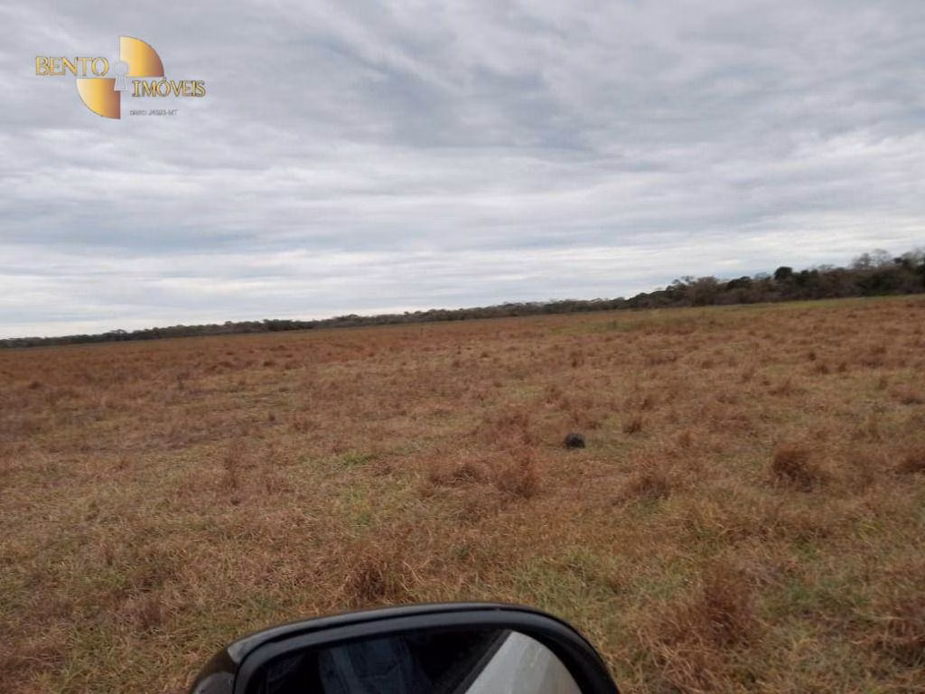 Farm of 3,368 acres in Poconé, MT, Brazil