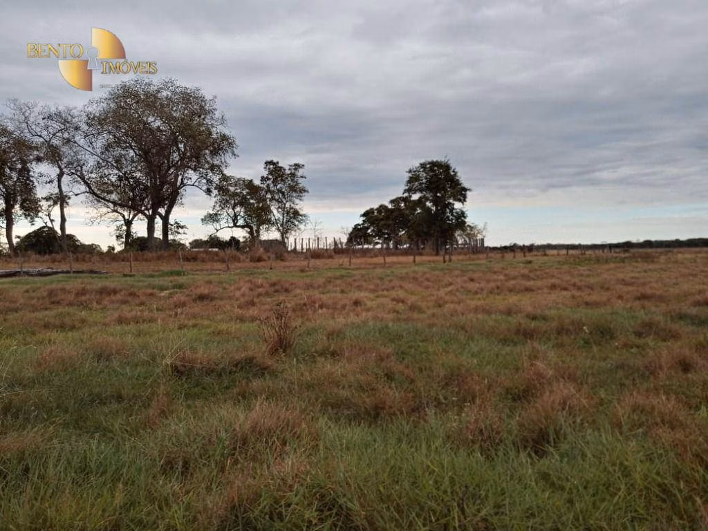 Farm of 3,368 acres in Poconé, MT, Brazil