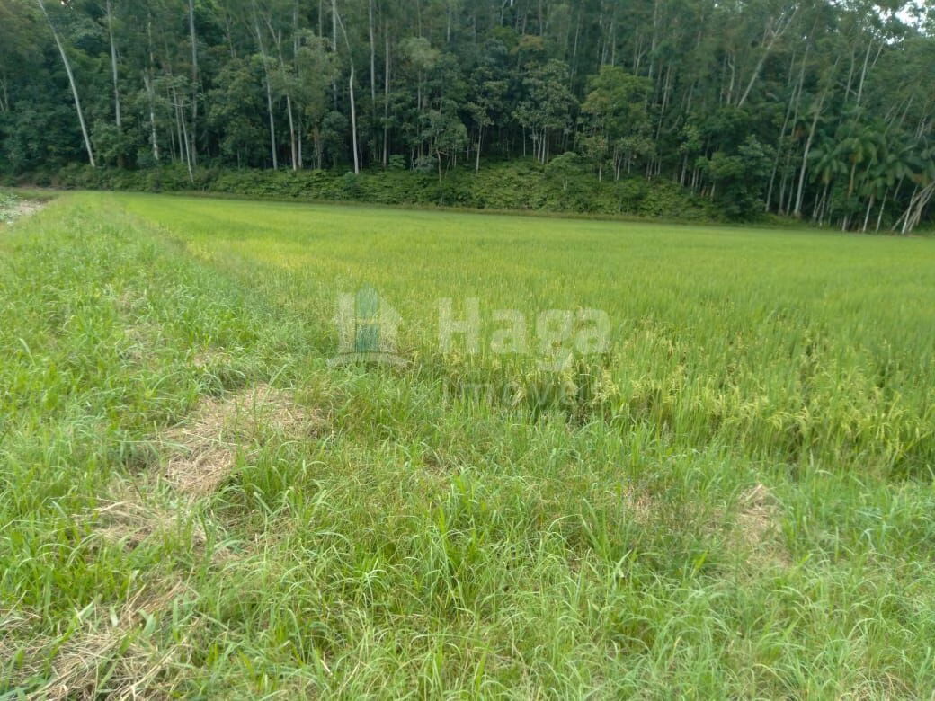 Fazenda de 7.727 m² em Guabiruba, SC