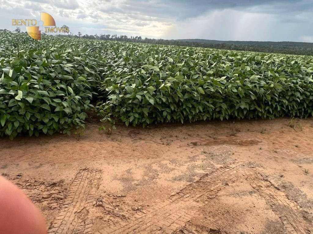 Fazenda de 3.025 ha em Nova Monte Verde, MT