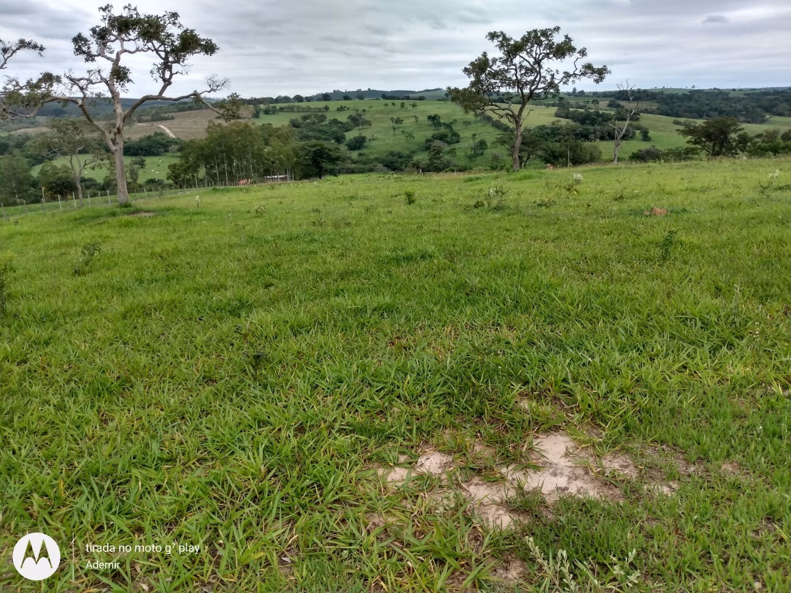Small farm of 30 acres in Anhembi, SP, Brazil