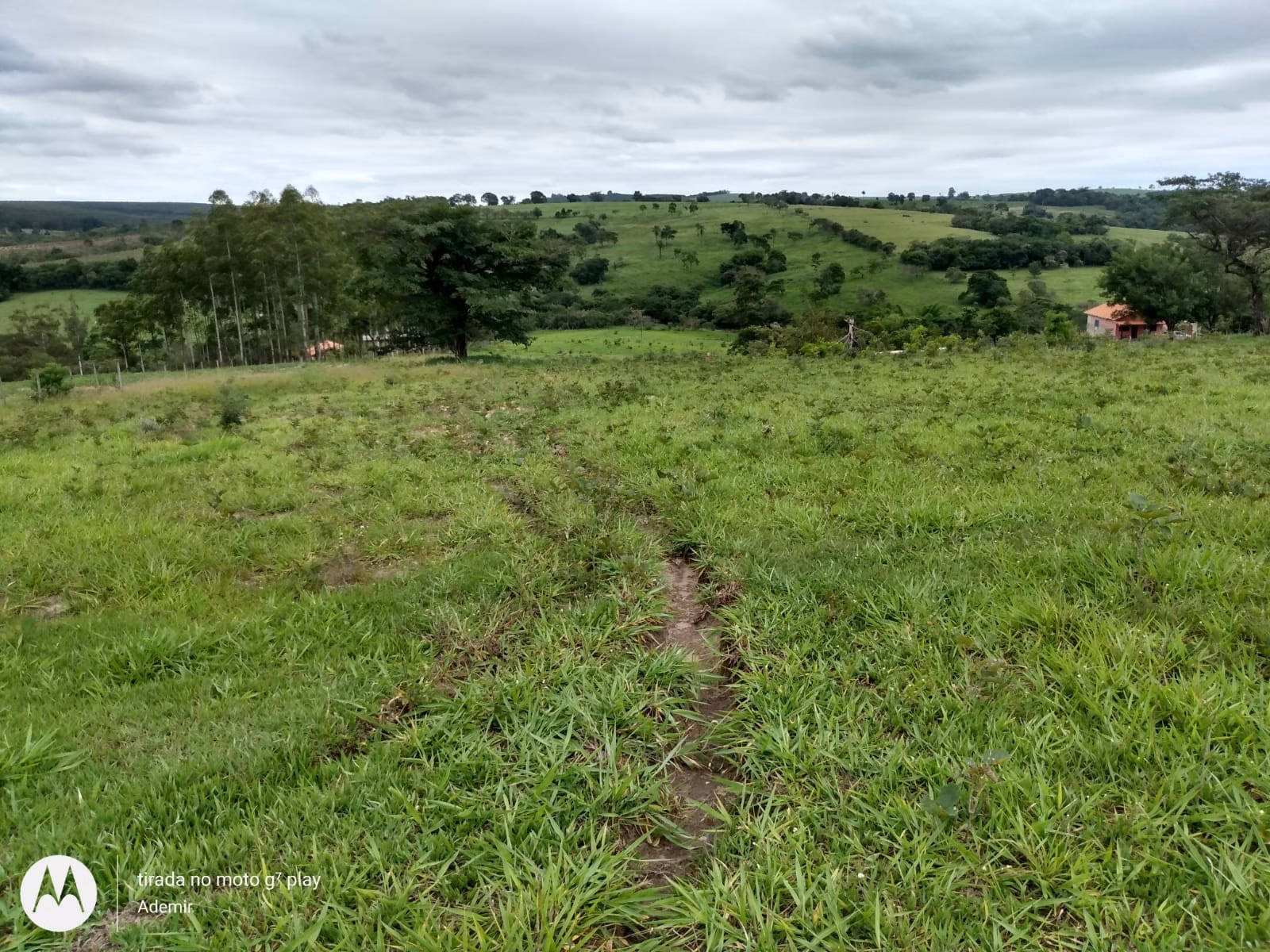 Small farm of 30 acres in Anhembi, SP, Brazil