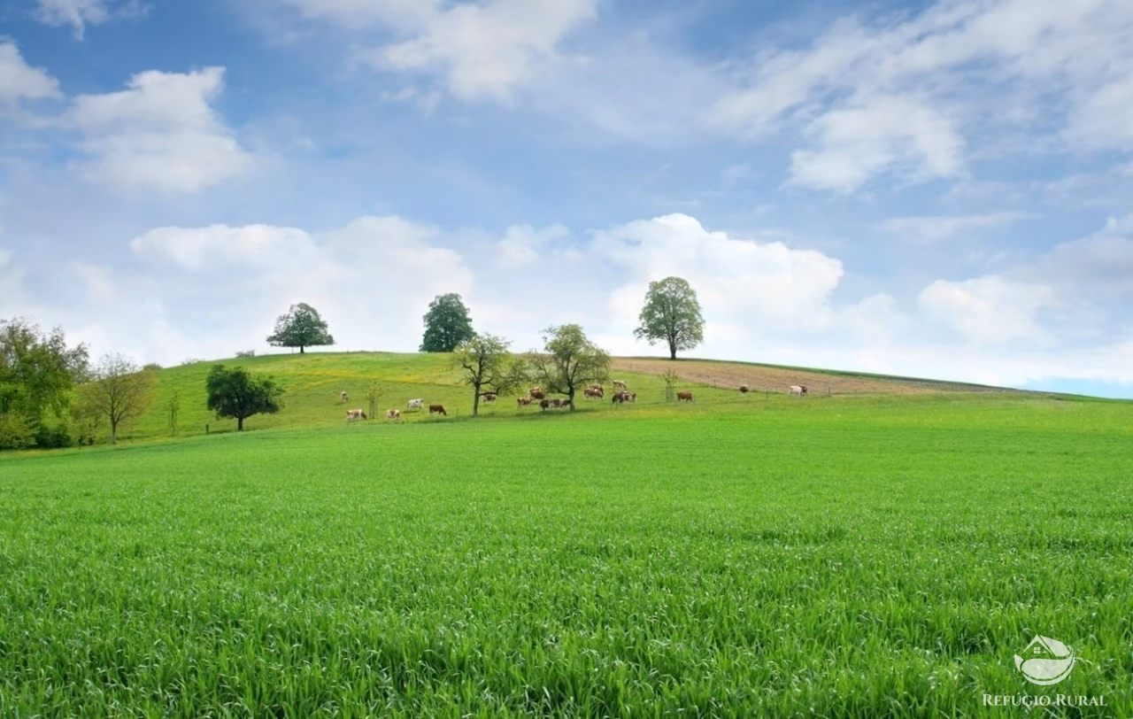 Fazenda de 1.282 ha em Marcelândia, MT