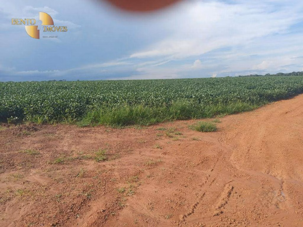 Fazenda de 1.486 ha em Nova Mutum, MT
