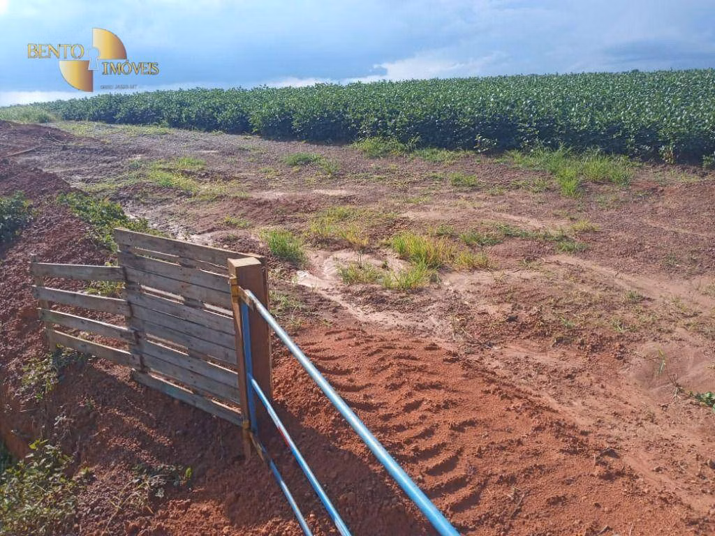 Fazenda de 1.486 ha em Nova Mutum, MT