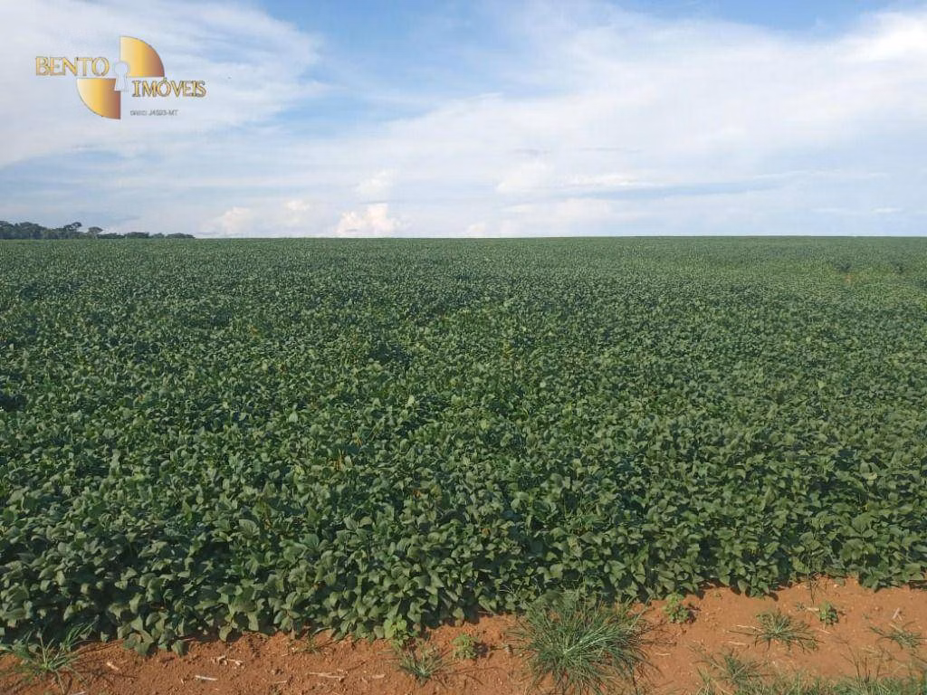 Fazenda de 1.486 ha em Nova Mutum, MT
